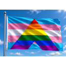 Trans-Regenbogen Ally-Flagge 90x150 cm