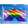 Trans-Regenbogen Ally-Flagge 90x150 cm