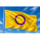 Intersex Flagge 90 x 150 cm – Gelb mit violettem Kreis