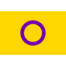 Intersex Flagge 90 x 150 cm – Gelb mit violettem Kreis