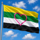 Flagge Skoliosexual / Ceterosexual – Prideflag mit...
