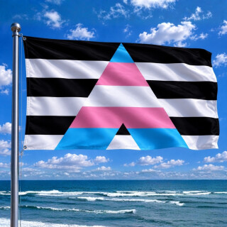 Trans-Allies Flagge 150*90cm Trans-Ally-Flag