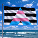 Trans-Allies Flagge 150*90cm Trans-Ally-Flag