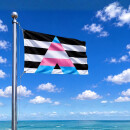 Trans-Allies Flagge 60*90cm Trans-Ally Flag