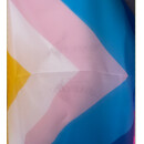 Flaggen 90 x150cm Regenbogen Bi+inklusive Progress B-Ware