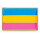 Pansexuell Pride Pin – Pansexual Flagge – 25 × 16 mm