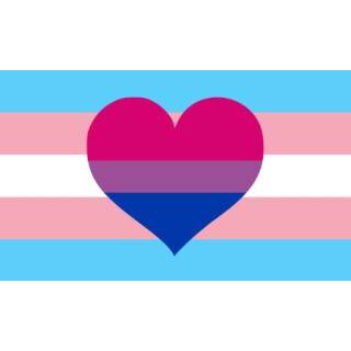 Trans-Bi-Romantik
