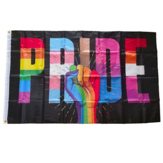 PRIDE + bunte Faust