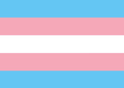 Trans* -Flagge